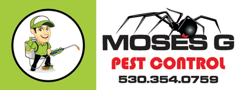 Moses G Pest Control - Free Estimates