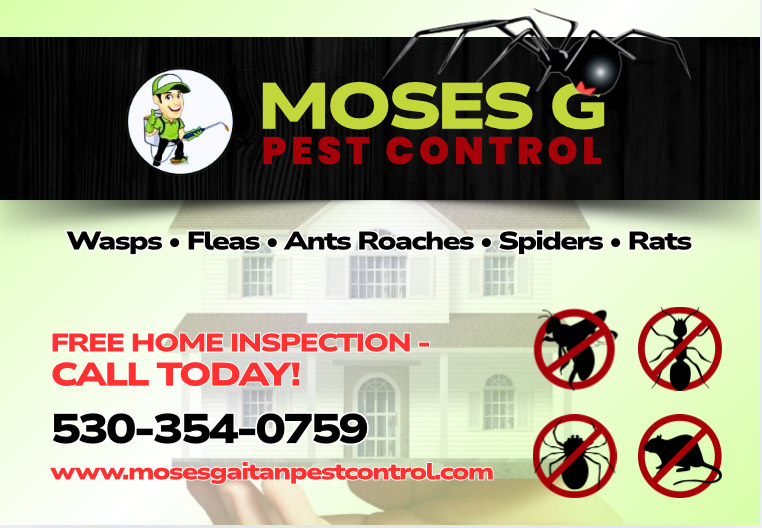 Moses G Pest Control promotional image